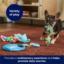 Frisco Little Friends Plush, Flyer & TPR Variety Pack Dog Toy -Chewy 177816 PT5. AC SS1800 V1691783909