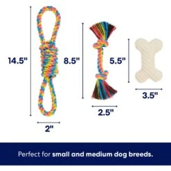 Frisco Jungle Pals Plush & Rope Variety Pack Dog Toy 9 Frisco Jungle Pals Plush & Rope Variety Pack Dog Toy -Chewy 177819 PT2. AC SS1800 V1686579629