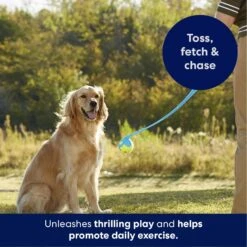 Frisco Ball Launcher & Fetch Squeaky Tennis Ball Dog Toy -Chewy 178477 PT3. AC SS1800 V1695241970