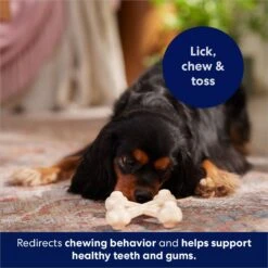 Frisco Chicken Flavor Tough Nylon Dog Chew Toy -Chewy 213432 PT5. AC SS1800 V1691784031