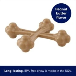 Frisco Peanut Butter Flavor Tough Nylon Dog Chew Toy 10 Frisco Peanut Butter Flavor Tough Nylon Dog Chew Toy -Chewy 213436 PT2. AC SS1800 V1692019767