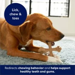 Frisco Peanut Butter Flavor Tough Nylon Dog Chew Toy 12 Frisco Peanut Butter Flavor Tough Nylon Dog Chew Toy -Chewy 213436 PT5. AC SS1800 V1692019972