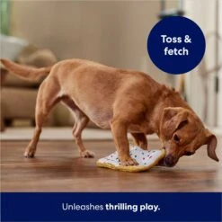 Frisco Frosted Pastry Stuffing-Free Flat Plush Squeaky Dog Toy -Chewy 213812 PT5. AC SS1800 V1686579088