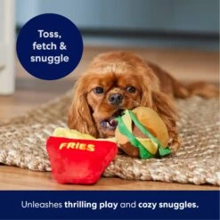 Frisco Burger & Fries Plush Squeaky Dog Toy -Chewy 213822 PT3. AC SS1800 V1695241915