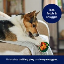 Frisco Burrito Plush Squeaky Dog Toy -Chewy 213834 PT4. AC SS1800 V1695919984