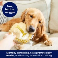 Frisco Gold Medal Round Plush Squeaky Dog Toy -Chewy 214082 PT6. AC SS1800 V1679069984