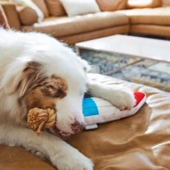 Frisco Summer Fun Plush & Rope Popsicle Dog Toy 7 Frisco Summer Fun Plush & Rope Popsicle Dog Toy -Chewy 214703 PT6. AC SS1800 V1597596505