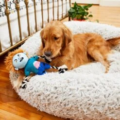 Frisco Zombie Boy Plush With Rope Squeaky Dog Toy -Chewy 218569 PT6. AC SS1800 V1597599376