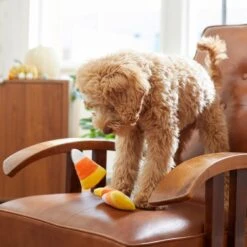 Frisco Halloween Candy Corn Plush Squeaky Dog Toy -Chewy 218619 PT6. AC SS1800 V1597599676