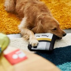 Frisco Retro Floppy Disc Ballistic Nylon Plush Squeaky Dog Toy 7 Frisco Retro Floppy Disc Ballistic Nylon Plush Squeaky Dog Toy -Chewy 230304 PT3. AC SS1800 V1602639753