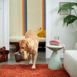 Frisco Retro Television Ballistic Nylon Plush Squeaky Dog Toy 7 Frisco Retro Television Ballistic Nylon Plush Squeaky Dog Toy -Chewy 230308 PT3. AC SS1800 V1601947325