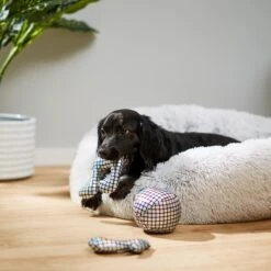 Frisco Retro Plush Squeaky Disco Dog Toy 7 Frisco Retro Plush Squeaky Disco Dog Toy -Chewy 230349 PT3. AC SS1800 V1600973789