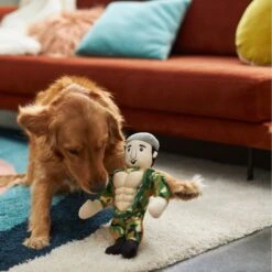 Frisco Retro Camo Hero Muscle Plush Squeaky Dog Toy -Chewy 230375 PT3. AC SS1800 V1602639726