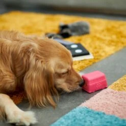 Frisco Retro Funky Van TPE Treat Dispenser Dog Toy, Medium/Large 10 Frisco Retro Funky Van TPE Treat Dispenser Dog Toy, Medium/Large -Chewy 230383 PT4. AC SS1800 V1669908614