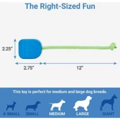 Frisco Retro PC Mouse Rubber Tug & Fetch Dog Toy -Chewy 230385 PT1. AC SS1800 V1599943590