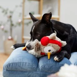 Frisco Holiday Owl Plush Squeaky Dog Toy -Chewy 233160 PT2. AC SS1800 V1601304724