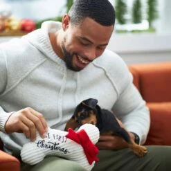 Frisco Holiday My First Christmas Bone Plush Squeaky Dog Toy -Chewy 233166 PT2. AC SS1800 V1601304755