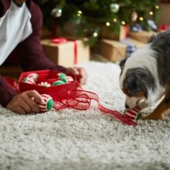 Frisco Holiday Wreath Fetch Squeaky Tennis Ball Dog Toy -Chewy 233189 PT5. AC SS1800 V1601919657