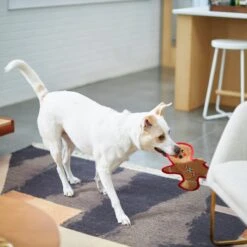 Frisco Holiday Gingerbread Man Flat Plush Squeaky Dog Toy -Chewy 233241 PT2. AC SS1800 V1601311903