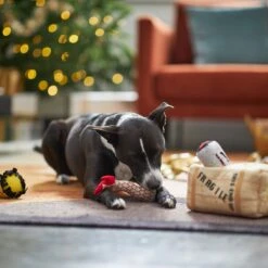 Frisco Holiday Fragile Box Hide & Seek Puzzle Plush Squeaky Dog Toy -Chewy 233274 PT4. AC SS1800 V1665759767