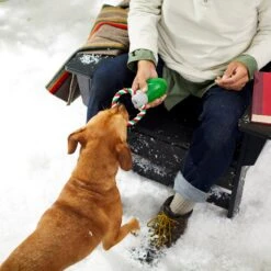 Frisco Holiday Christmas Light Rope With TPR Squeaky Dog Toy 9 Frisco Holiday Christmas Light Rope With TPR Squeaky Dog Toy -Chewy 233278 PT2. AC SS1800 V1601641574