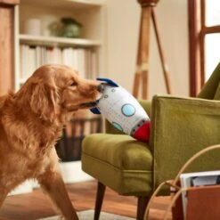 Frisco Ballistic Nylon Plush Squeaky Rocket Ship Dog Toy 7 Frisco Ballistic Nylon Plush Squeaky Rocket Ship Dog Toy -Chewy 233581 PT3. AC SS1800 V1600973767