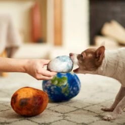 Frisco Earth, Mars, And Moon Plush Squeaky Dog Toy 7 Frisco Earth, Mars, And Moon Plush Squeaky Dog Toy -Chewy 233587 PT3. AC SS1800 V1600973771