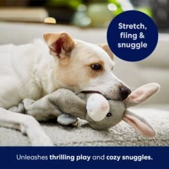 Frisco Bunny Bungee Plush Squeaky Dog Toy -Chewy 233612 PT5. AC SS1800 V1691783971