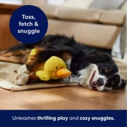 Frisco Duck Plush Squeaky Dog Toy -Chewy 233613 PT4. AC SS1800 V1695670688