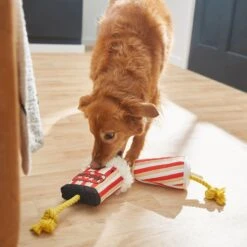 Frisco Zoomies & Chill Theatre Snacks Rope With Plush Squeaky Dog Toy -Chewy 241689 PT6. AC SS1800 V1610768279