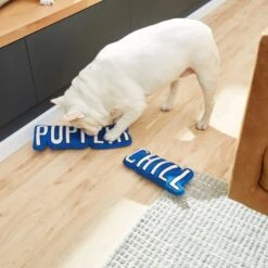 Frisco Zoomies & Chill Pupflix & Chill Plush Squeaky Dog Toy, 2 Count 7 Frisco Zoomies & Chill Pupflix & Chill Plush Squeaky Dog Toy, 2 Count -Chewy 241693 PT6. AC SS1800 V1610768429