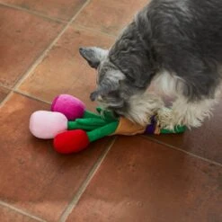 Frisco Valentine Rose Bouquet Plush Squeaky Dog Toy -Chewy 241733 PT6. AC SS1800 V1607990908