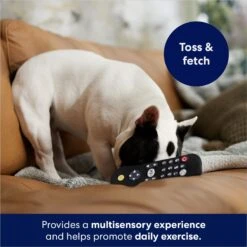 Frisco Zoomies & Chill Remote Latex Squeaky Dog Toy -Chewy 241753 PT6. AC SS1800 V1686580150