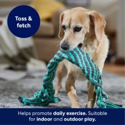 Frisco Flat Teal & Gray Braided Rope Squeaky Fetch Dog Toy -Chewy 242127 PT3. AC SS1800 V1695242179