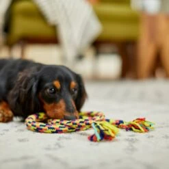 Frisco Pretzel Rope Dog Toy 7 Frisco Pretzel Rope Dog Toy -Chewy 242141 PT2. AC SS1800 V1605208795