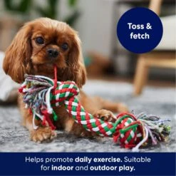 Frisco Double Knot Tri-Color Rope Fetch Dog Toy 8 Frisco Double Knot Tri-Color Rope Fetch Dog Toy -Chewy 242149 PT3. AC SS1800 V1695241915