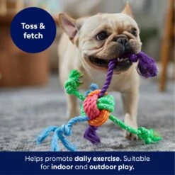 Frisco Fetch Colorful Ball Knot Rope Dog Toy 8 Frisco Fetch Colorful Ball Knot Rope Dog Toy -Chewy 242159 PT3. AC SS1800 V1695242179