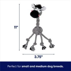 New Arrival -Chewy 242163 PT1. AC SS1800 V1695084258