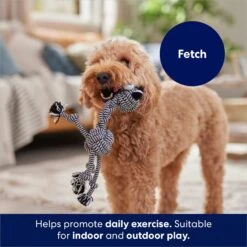 Frisco Zebra Rope Squeaky Dog Toy 10 Frisco Zebra Rope Squeaky Dog Toy -Chewy 242163 PT3. AC SS1800 V1691785245