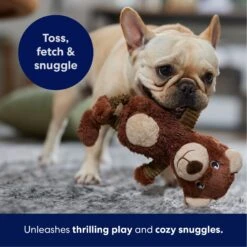 Frisco Bear Plush Squeaky Dog Toy -Chewy 245924 PT4. AC SS1800 V1695760929