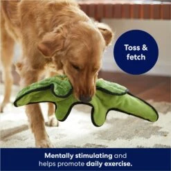 Frisco Alligator Stuffing-Free Flat Plush Squeaky Dog Toy -Chewy 245943 PT2. AC SS1800 V1678723898