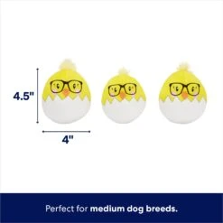 Frisco Spring Easter Egg Hide & Seek Plush Squeaky Dog Toy 10 Frisco Spring Easter Egg Hide & Seek Plush Squeaky Dog Toy -Chewy 248037 PT2. AC SS1800 V1700243718