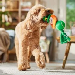 Frisco St. Patrick's Leprechaun Plush With Tennis Ball Squeaky Dog Toy -Chewy 249472 PT4. AC SS1800 V1700163040