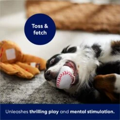 Frisco Baseball Mitt & Ball Interactive Plush Squeaky Dog Toy 12 Frisco Baseball Mitt & Ball Interactive Plush Squeaky Dog Toy -Chewy 252756 PT5. AC SS1800 V1686579205