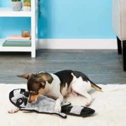 Frisco Alligator Stuffing-Free Flat Plush Squeaky Dog Toy & Frisco Raccoon Stuffing-Free Flat Plush Squeaky Dog Toy -Chewy 255471 PT4. AC SS1800 V1602691287
