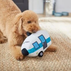 Frisco Road Trip Happy Camper Plush Squeaky Dog Toy 9 Frisco Road Trip Happy Camper Plush Squeaky Dog Toy -Chewy 261991 PT3. AC SS1800 V1618598545