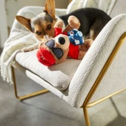 Frisco Road Trip Tourist Bear Plush Squeaky Dog Toy 7 Frisco Road Trip Tourist Bear Plush Squeaky Dog Toy -Chewy 261995 PT3. AC SS1800 V1618598730