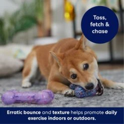 Frisco Birthday TPR Fetch Bone Squeaky Dog Toy -Chewy 264422 PT4. AC SS1800 V1695760988