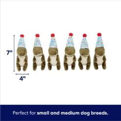 Frisco Birthday Volcano & Dinosaurs Hide & Seek Puzzle Plush Squeaky Dog Toy -Chewy 264424 PT2. AC SS1800 V1695761147