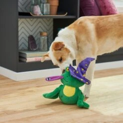 Frisco Magic Wizard Frog Plush Squeaky Dog Toy -Chewy 265588 PT3. AC SS1800 V1620939075